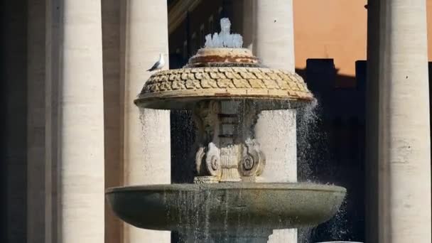 Водный Фонтан Площади Святого Петра Ватикан Рим Италия — стоковое видео