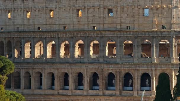 Rome Italy February 2024 View Colosseum Rome — Stock Video