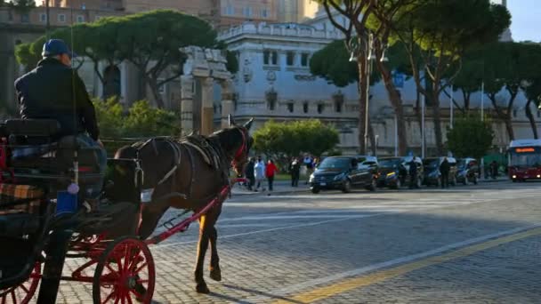 Roma Italia Febrero 2024 Paseos Carruaje Por Las Calles Roma — Vídeo de stock