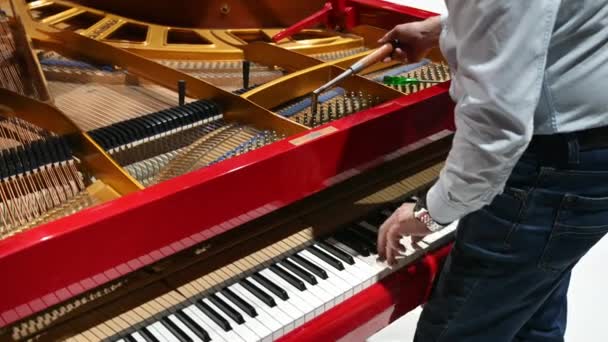 Close Homem Consertando Piano Vermelho — Vídeo de Stock