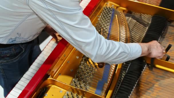 Close Homem Consertando Piano Vermelho — Vídeo de Stock