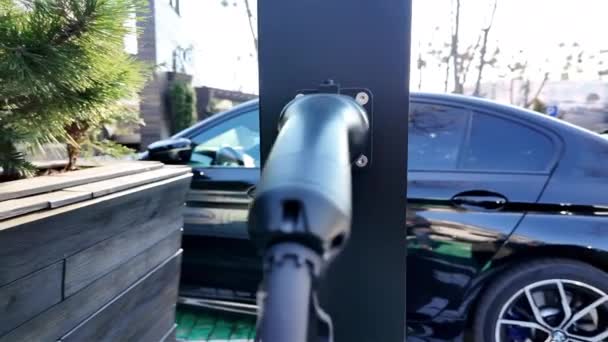 電気自動車の充電器のクローズアップ 小さな昆虫 背景に黒い車 — ストック動画