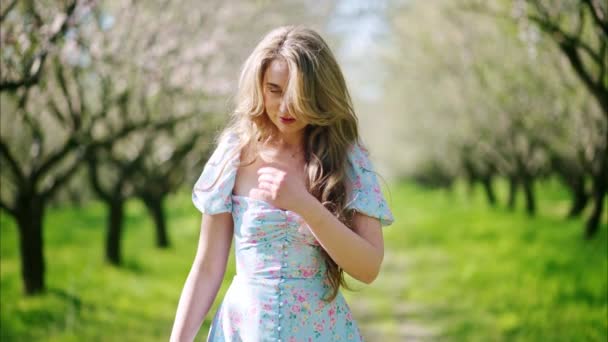 Brunette Woman Blue Dress Enjoying Field Blooming Almond Trees Video Clip