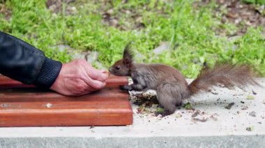 Rafta duran bir şişe beyaz şaraba yakından bakın.