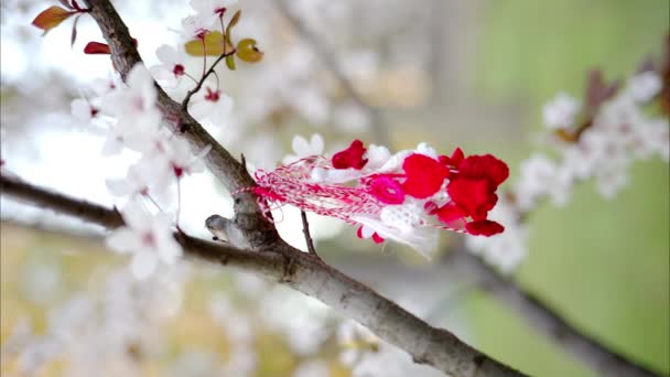 Martisor Pendurado Galho Árvore Com Flores Flor Verical — Vídeo de Stock