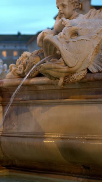 Roma Talya Şubat 2024 Navona Meydanı Ndaki Neptün Çeşmesi Alacakaranlıkta — Stok video