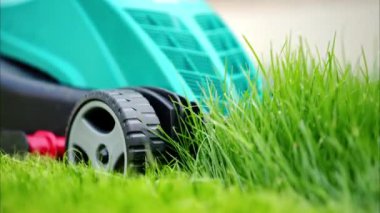 Çimleri biçen turkuaz çim biçme makinesini kapatın.