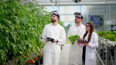 Beyaz önlüklü üç laboratuvar teknisyeni Sanal Gerçeklik kulaklığı takıyor, bir dron ve tablet tutuyor, serada yetişen marulu analiz ediyorlar.