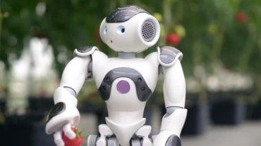 İnsansı robot, bir adamın eline domates düşürüyor.