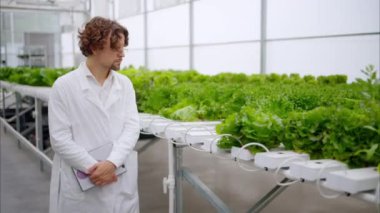Beyaz önlüklü bir laboratuvar teknisyeni, elinde tabletle serada hidrofonik yöntemle yetişen bitkileri analiz ediyor.