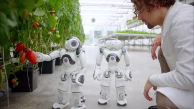 Beyaz önlüklü bir laboratuvar teknisyeni, bir sera çiftliğinde iki insansı robotla etkileşime geçiyor.