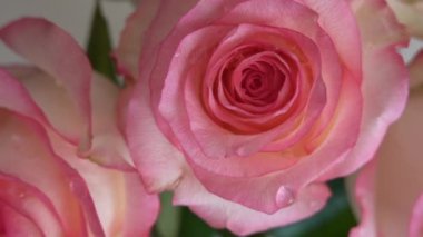 Pencerenin yanındaki vazoda beyaz ve pembe gülleri kapat.