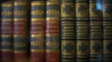 Nice, Fransa - 28 Haziran 2024: Villa Massena Müzesi 'nin rafında duran Fransız kitapları