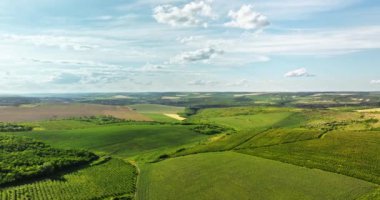 Moldova 'daki yeşil tarım alanlarının hava aracı görüntüsü