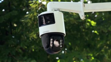 Ağaçların ve gökyüzünün görüntüsü sarı ışıkta