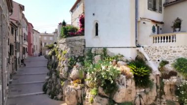 Fransa 'nın Antibes kentindeki taş binaların yakınında büyüyen bitkiler