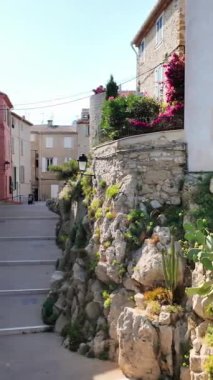 Fransa 'nın Antibes kentindeki taş binaların yakınında büyüyen bitkiler. Dikey