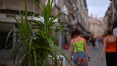 Bükreş, Romanya - 10 Ağustos 2024: İnsanlar akşamleyin Eski Kent 'te teraslara yakın yürüyorlar