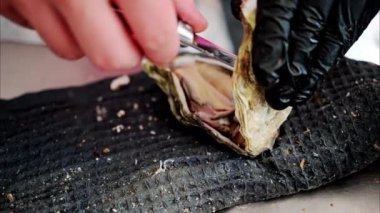 Restoranda çiğ istiridye açan bir garsona yaklaş.