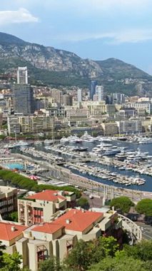 Monaco Marina 'da kentin ufuk çizgisi ile kenetlenmiş teknelerin hava görüntüsü. Dikey