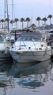 Akşamleyin Fransa 'nın Golfe-Juan limanına beyaz tekneler yanaştı. Dikey