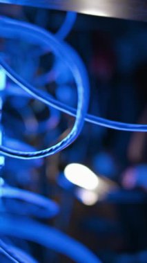 Sunucu odasında kadın programlama. Dikey