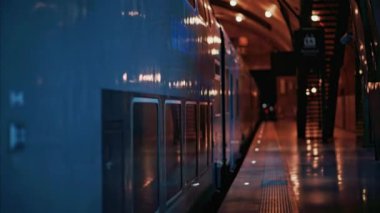 Mavi tren akşam istasyona varacak.