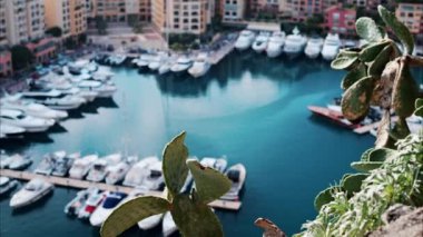 Monaco 'daki Port de Fontvieille limanına yanaşan teknelerin bulanık görüntüsü