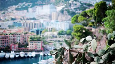 Monaco 'daki Port de Fontvieille limanına yanaşan teknelerin bulanık görüntüsü
