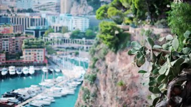 Monaco 'daki Port de Fontvieille limanına yanaşan teknelerin bulanık görüntüsü