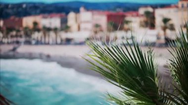 Fransa 'nın Cannes kıyı şeridini bulanık gören bir palmiye dalını kapatın.