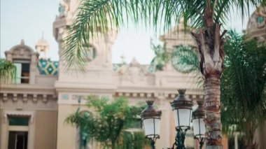 Monte-Carlo Kumarhanesi 'nin önü. Palmiye ağacının arkası, Monako.