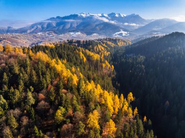 Sonbahar mevsiminde mavi gökyüzü ile Bucegi Dağları 'nın insansız hava aracı görüntüsü. Romanya