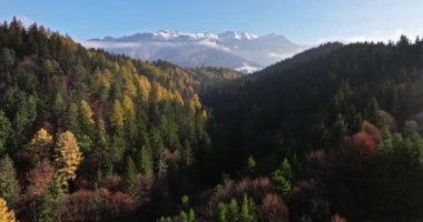 Romanya 'nın Brasov kenti yakınlarındaki Karpatlar' ın insansız hava aracı görüntüsü