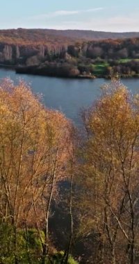 Moldova, Orhei yakınlarındaki Raut nehrindeki küçük bir adanın insansız hava aracı görüntüsü. Dikey