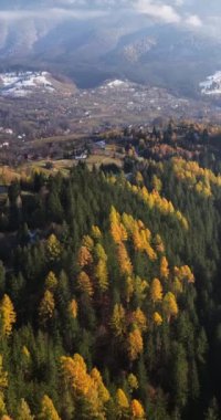 Romanya 'nın Brasov kenti yakınlarındaki Karpat Dağları' nın insansız hava aracı görüntüsü. Dikey