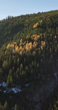 Romanya 'nın Brasov kenti yakınlarındaki Bucegi Dağları' nda küçük bir karın insansız hava aracı görüntüsü. Dikey