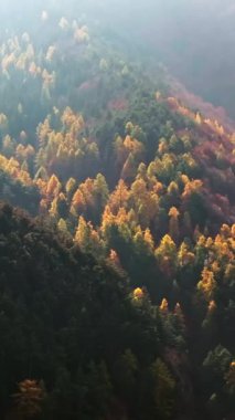Romanya 'nın Brasov kenti yakınlarındaki Karpat Dağları' nın insansız hava aracı görüntüsü. Dikey
