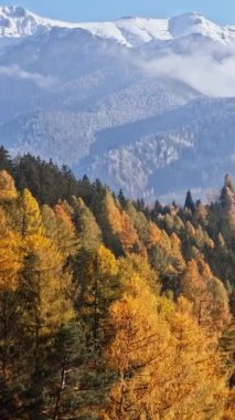 Romanya 'nın Brasov kenti yakınlarındaki Karpat Dağları' nın insansız hava aracı görüntüsü. Dikey
