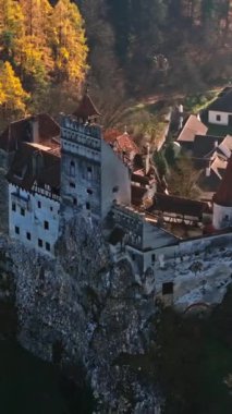 Romanya 'nın Transilvanya, Bran kentindeki Bran Kalesi' nin insansız hava aracı görüntüsü. Dikey