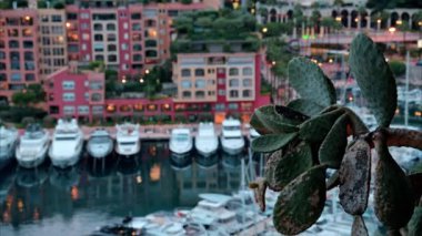 Port de Fontvieille 'e yanaşan teknelerin görüntüsü ve arka planda Monako' nun silüeti var.