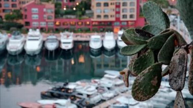 Port de Fontvieille 'e yanaşan teknelerin görüntüsü ve arka planda Monako' nun silüeti var.