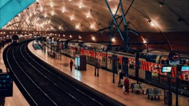 Monte Carlo, Monako - 4 Ekim 2024: İnsanlar ve trenler Monako tren istasyonunda parlak ışıklarla ilerliyorlar