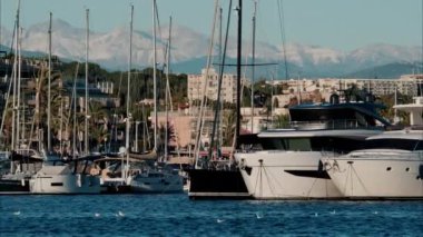 Fransa 'nın Antibes kentindeki Port Camille Rayon' a çok sayıda tekne yanaştı.