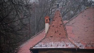 Romanya 'nın Brasov kentinde kar yağarken George Baritiu Kütüphanesi' nin cephesi