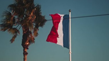 Arka planda palmiye ağacıyla dalgalanan Fransız bayrağını kapatın.