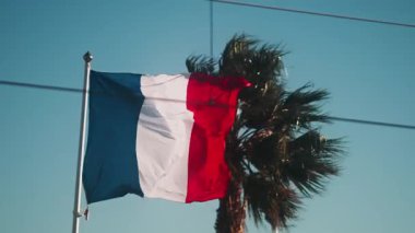 Arka planda palmiye ağacıyla dalgalanan Fransız bayrağını kapatın.