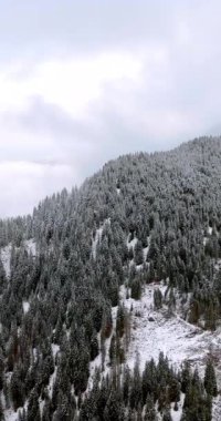 Corvara 'da, Güney Tyrol' da Dolomitler 'de bir kayak asansörünün insansız hava aracı görüntüsü. Dikey