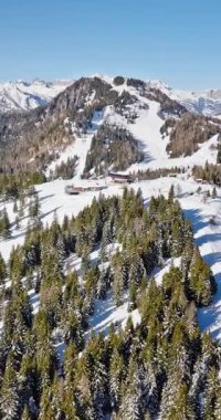 Alleghe 'deki Col dei Baldi' nin gündüz vakti Dolomitler 'deki hava aracı görüntüsü. Dikey