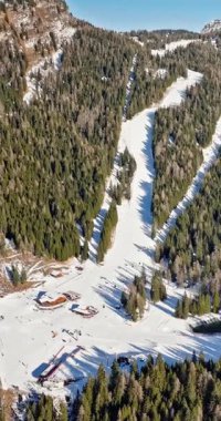 Alleghe, Alleghe, Piani di Pezze 'deki bir kayak merkezinin Dolomitler, İtalya' da gündüz vakti insansız hava aracı görüntüsü. Dikey
